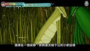 螳螂之恋 另类恋爱游戏:周末玩什么