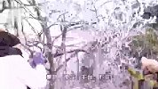 北京迎全市范围降雪 10个区发布暴雪蓝色预警