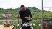 老板孕期馋小龙虾，15块钱一斤直接煮一大锅，一个人把它吃完了