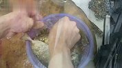 做个香浓美味的素烧泥猛鱼！