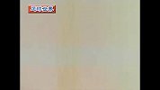 世界杯-14年-世界杯百大进球第41位·德沃尔夫-花絮