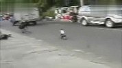 搞笑-20120326-猴子大街上骑车