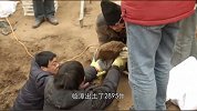 《中国推介》之为家乡推介——临漳