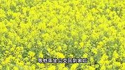 丈夫怒砸大14岁妻子奔驰，录下满手是血视频，女方：太恐怖
