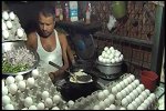 来一份，你要什么口味！