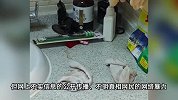 订婚强奸案二审维持原判！审判长：男方母亲泄露女方隐私已被训诫