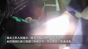 男子裤袋异常隆起，居然活体蜥蜴当异宠藏裤兜里