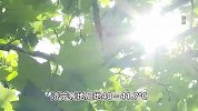 高温预警！京津冀山东等地局地可达40℃以上 南方梅雨姗姗来迟
