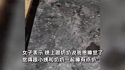 女子过年回老家住以前的屋，与鸡作伴满地鸡屎：味道直冲天灵盖