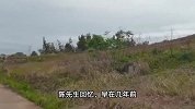60岁男子杀害同居11年女友，死者儿子：曾遭家暴被亲戚劝和