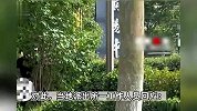男子公园脱裤对女子做猥亵动作，当事人称附近有很多小学生，警方介入