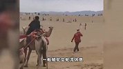 敦煌骆驼忙到“累瘫”？业内人士：农户拉两年骆驼能赚一套房