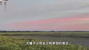 网传大疆被罚440亿元？大疆回应：系自媒体发酵，案件仍在审理过程中