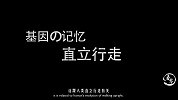 哺乳动物中，只有人类刚出生不能跑不能跳？原因其实很简单
