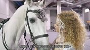 外国马术夫妻首创世界双马和群马绝技，人马激情共舞，惊艳全场
