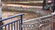 湖南一鱼塘惊现大坑，承包者：塘水几分钟被吸干，200斤鱼不翼而飞