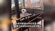 离谱！男子担心楼顶凉亭被台风吹走，将其五花大绑拴在水泥柱上
