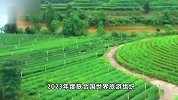 浙江下姜村入选联合国世界旅游组织“最佳旅游乡村”