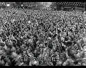 罗马假日