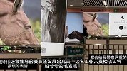 网友吐槽野马摄影广告“表情猥琐偷感很重”，北京地铁：不会撤掉