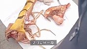 男子在派出所附近卖虎骨？自称能治风湿，知情人：两公分卖100元