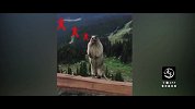 看鉴地理 第36集：中国最神秘的省份
