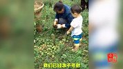 盘点80后农村人最爱吃的八大零食排行榜！