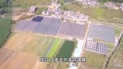 价值80万！“天价坛子”不见了，大爷急疯