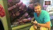 美国男子捕获70岁超大龙虾 重达5.4公斤