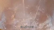 天气越来越热了，不要老是给孩子吃雪糕了，试试这个冰粉吧