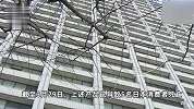 中消协：关注日本小林制药有关产品风险，立即停止服用有关产品
