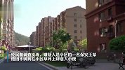 保安毒死小区11只宠物狗获刑3年：不满狗在草坪随意大小便