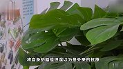 17岁女孩一晚连刷6套卷子后患脑病，医生紧急提醒