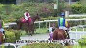 澳门宣布：今年4月起停办赛马活动