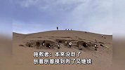 2小孩沙漠挖洞被埋众游客徒手刨沙救出：本来没劲了，刨着刨着摸到肉了又继续