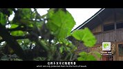 20171018-探秘贵州独特的空中楼阁-看鉴地理117集
