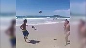 狗狗大秀球技 足球也是宠物狗必备的技能