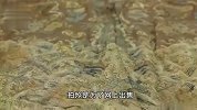 广西侦破跨省盗墓大案：团伙盗墓挖出龙袍网上售卖