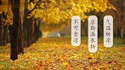 二十四节气-白露
