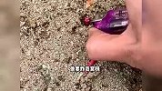 人不一定是人 狗是真狗啊