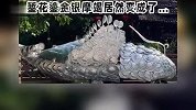 广西博物馆“镇馆之宝”街头飞奔？博主用日用厨具完美还原宋代“鎏金银摩羯”