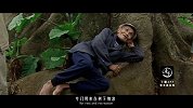 20170428-海南密林毒王，见血封喉-看鉴地理34