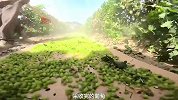 揭秘葡萄干工厂，良心企业，居然在出售前进行清洗