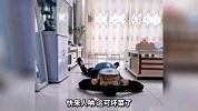 这猫咪有点潦草啊 这长得有点随意了啊