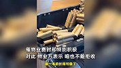女子不满物业服务态度，怒换6100个硬币缴费，物业：1小时数了145元