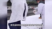 高速堵车一孕妇被困途中，医生徒步半小时前往救援：做了份内的事