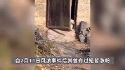 瑶一瑶小肉包陷摆拍风波后，停更一月掉粉12万！一年广告收入或超1650万元