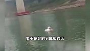 女子江中漂浮遇船只作业被救：一身酒气疑为情所困，不是羽绒服人早没了