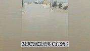 黑龙江暴雨多个村镇被淹：庄稼泡水受损严重，稻花香产量将受影响