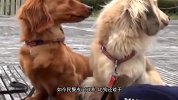 中国造出地球威力最大巨船 全力爆发堪比核弹 10万吨航母退避三舍
